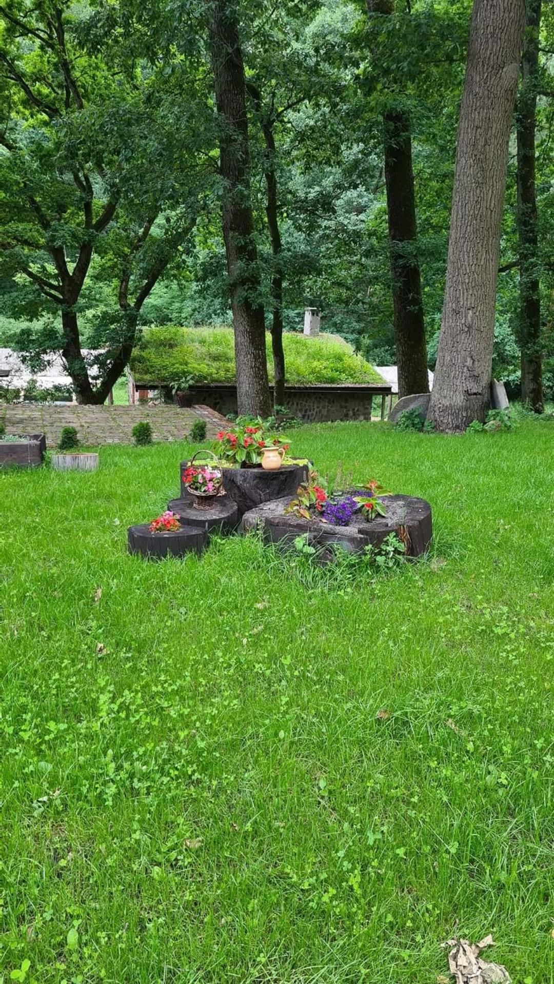 Dwor Mysinek Appartement Grabowiec  Buitenkant foto